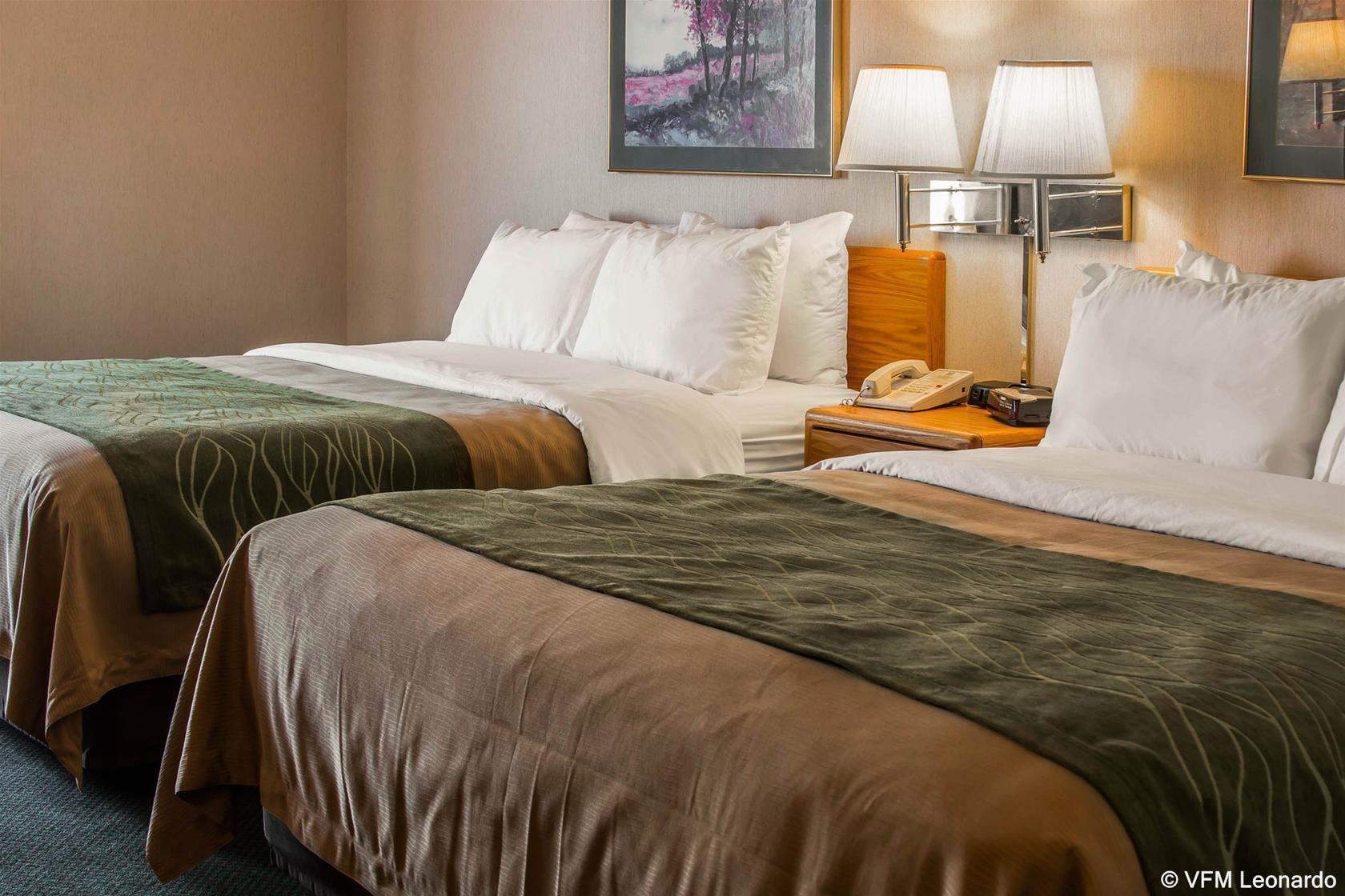 Comfort Inn Charlotte Eksteriør bilde