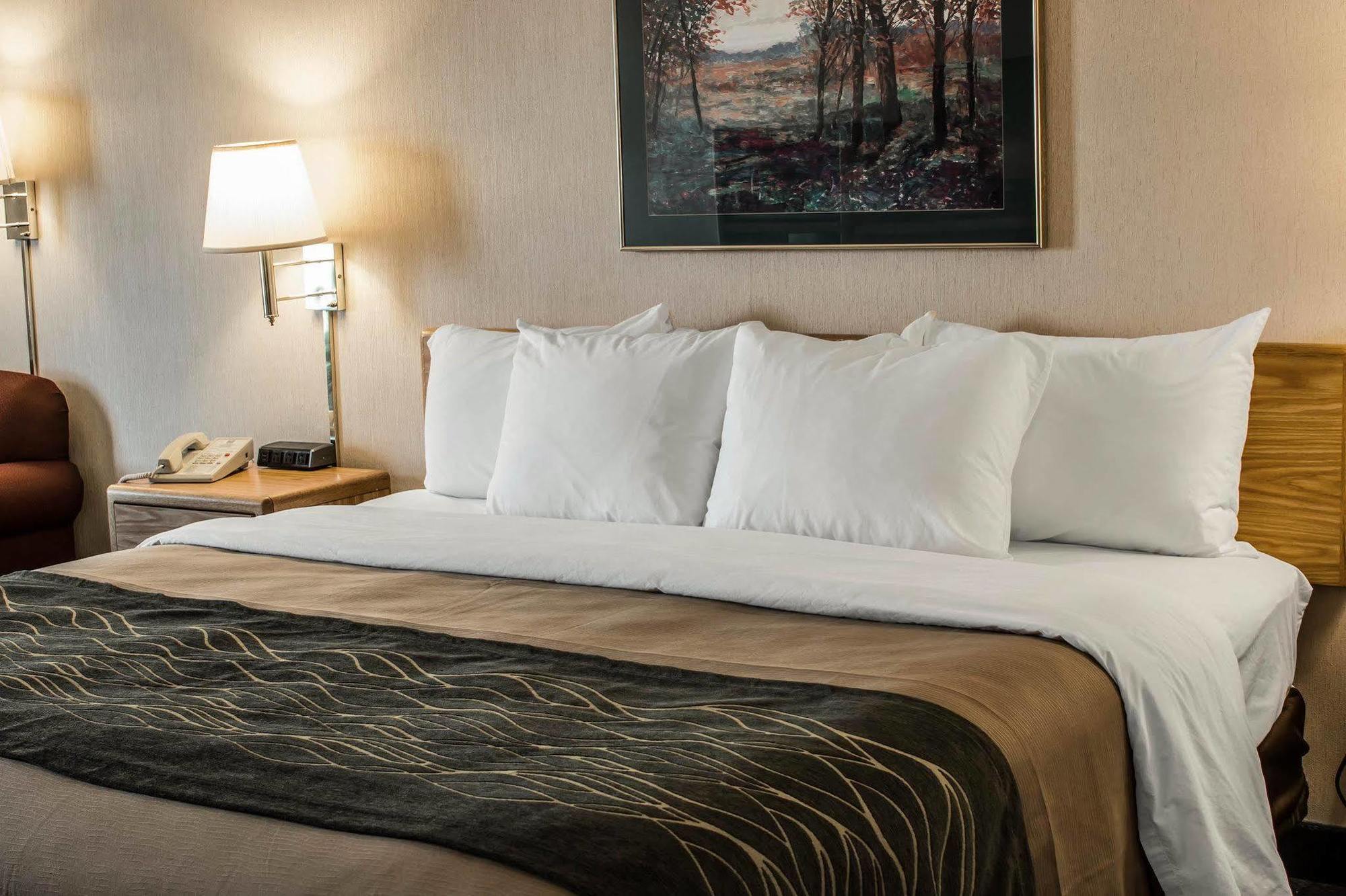 Comfort Inn Charlotte Eksteriør bilde